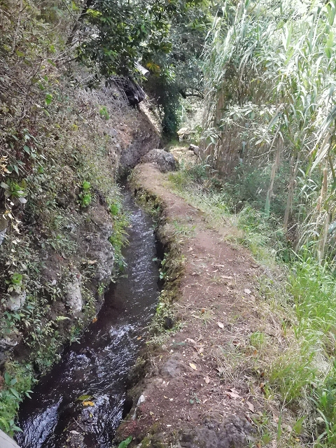 18 June 2016 Levada da Azenha — To the intermediate Madre and back to the wooden bridge — photo 15