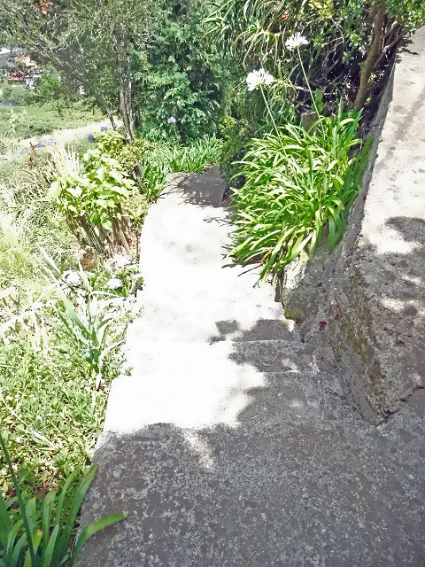 18 June 2016 Levada da Azenha — From Canico to the old watermill — photo 3