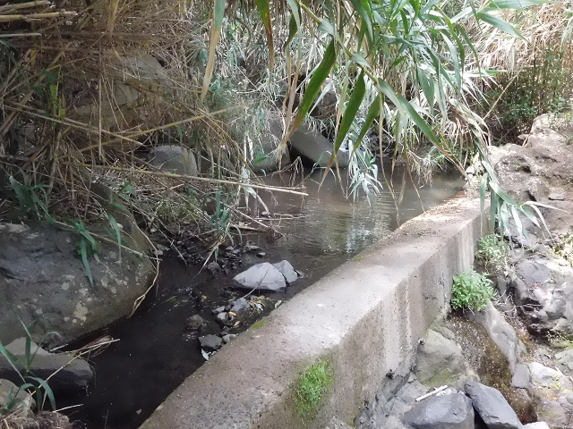 18 June 2016 Levada da Azenha — To the intermediate Madre and back to the wooden bridge — photo 18