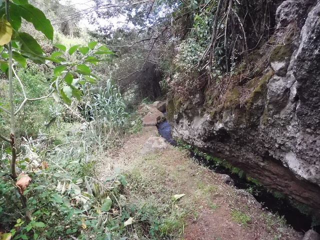 18 June 2016 Levada da Azenha — To the intermediate Madre and back to the wooden bridge — photo 20