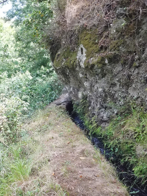 18 June 2016 Levada da Azenha — To the intermediate Madre and back to the wooden bridge — photo 22