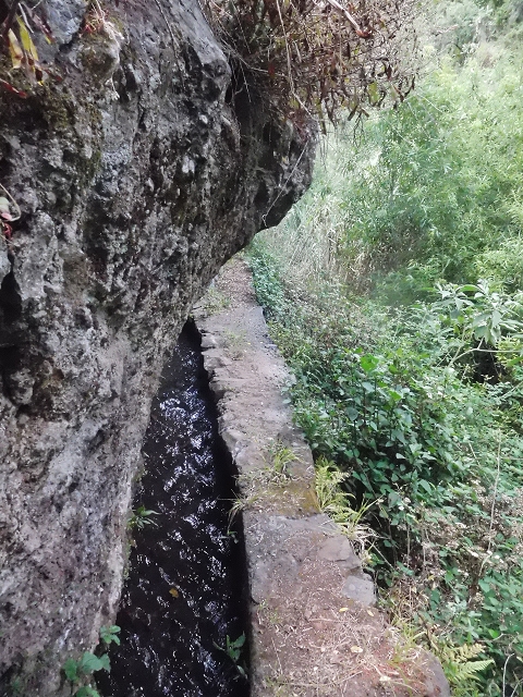 18 June 2016 Levada da Azenha — To the intermediate Madre and back to the wooden bridge — photo 25