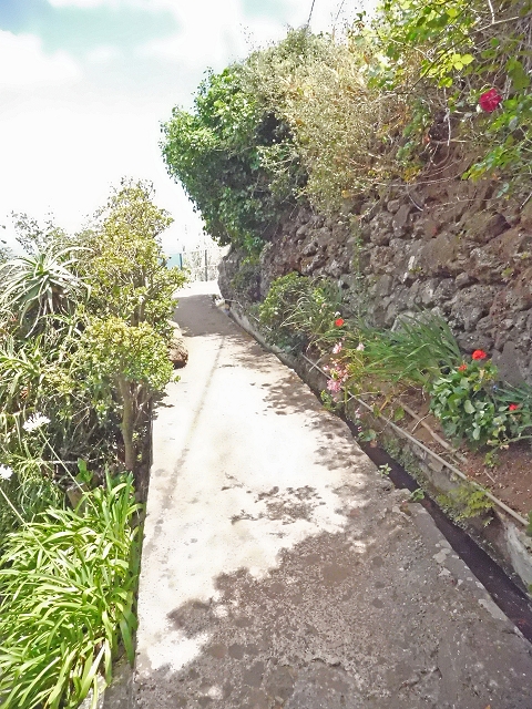 18 June 2016 Levada da Azenha — From Canico to the old watermill — photo 4