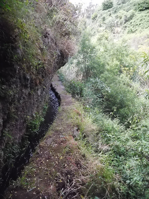 18 June 2016 Levada da Azenha — To the intermediate Madre and back to the wooden bridge — photo 26