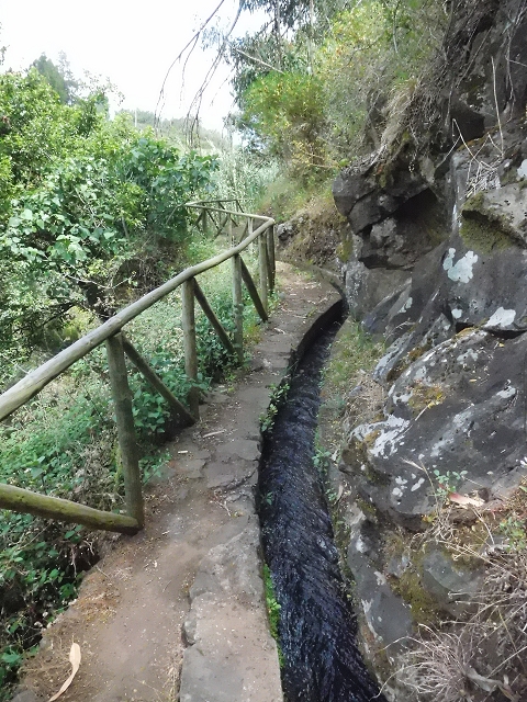18 June 2016 Levada da Azenha — To the intermediate Madre and back to the wooden bridge — photo 27