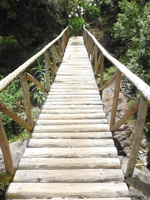 18 June 2016 Levada da Azenha — To the intermediate Madre and back to the wooden bridge — photo 28