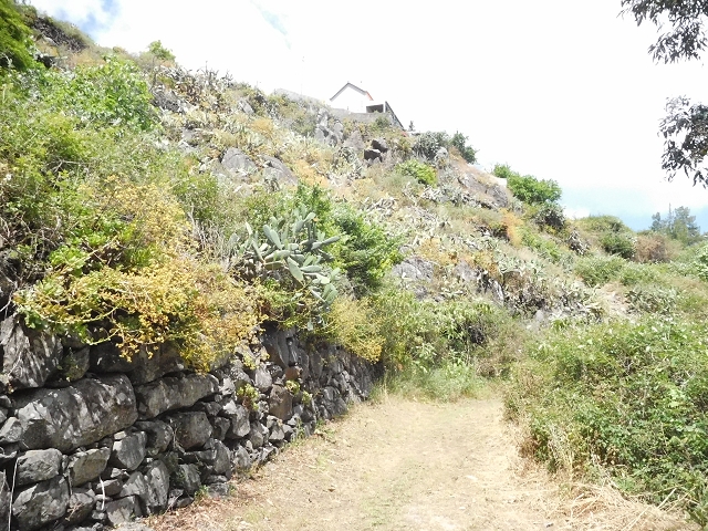 18 June 2016 Levada da Azenha — Along the western terminal branch, west, as far as the houses — photo 1