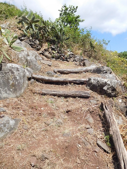 18 June 2016 Levada da Azenha — Along the western terminal branch, west, as far as the houses — photo 2