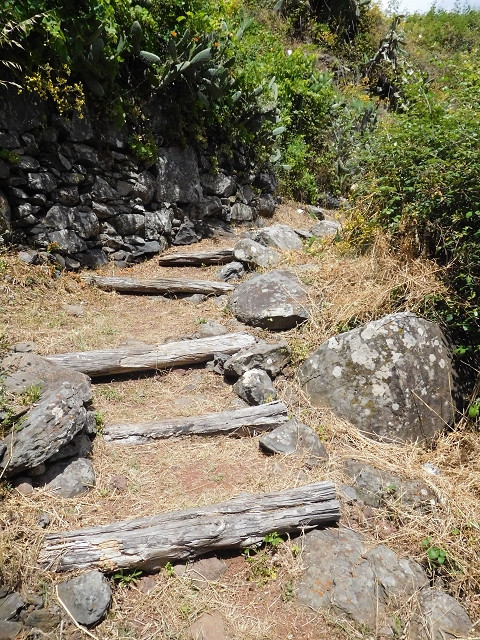 18 June 2016 Levada da Azenha — Along the western terminal branch, west, as far as the houses — photo 3