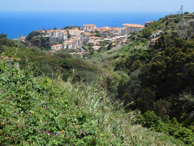 18 June 2016 Levada da Azenha — Along the western terminal branch, west, as far as the houses — photo 6