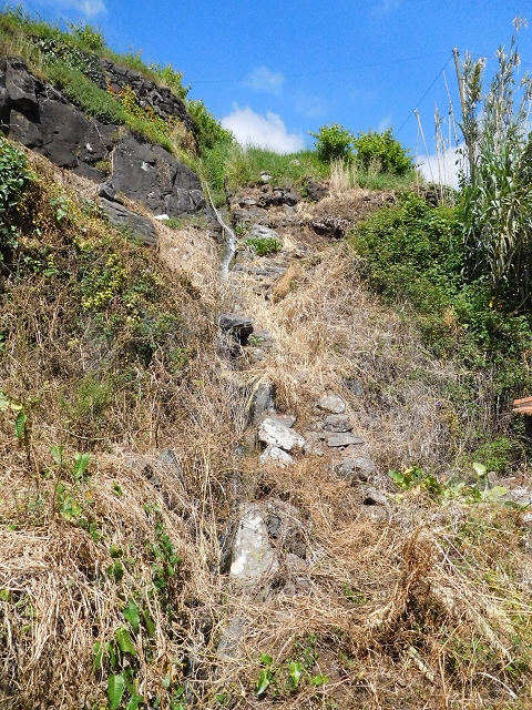 18 June 2016 Levada da Azenha — Along the western terminal branch, west, as far as the houses — photo 8