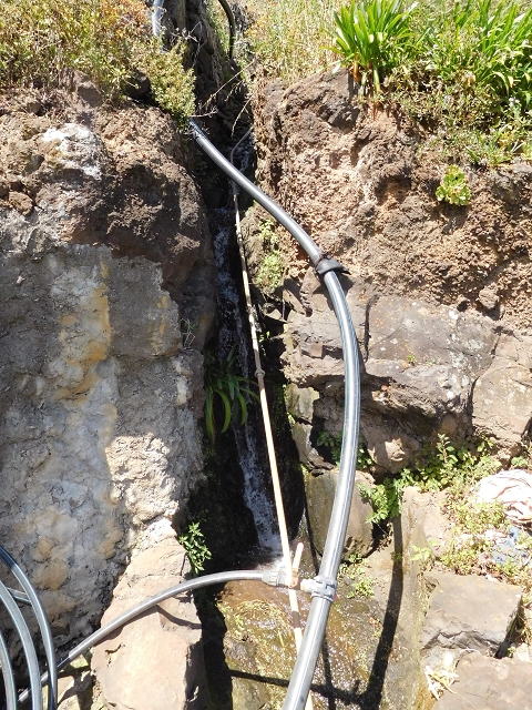18 June 2016 Levada da Azenha — Along the western terminal branch, west, as far as the houses — photo 11