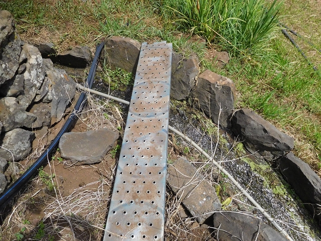 18 June 2016 Levada da Azenha — Along the western terminal branch, west, as far as the houses — photo 15