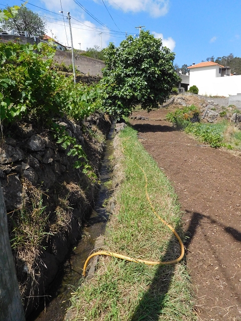 18 June 2016 Levada da Azenha — Along the western terminal branch, west, as far as the houses — photo 18