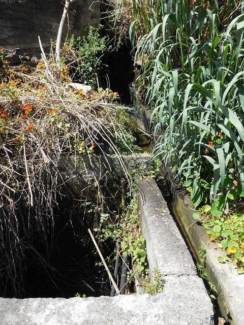 18 June 2016 Levada da Azenha — Along the western terminal branch, west, as far as the houses — photo 20