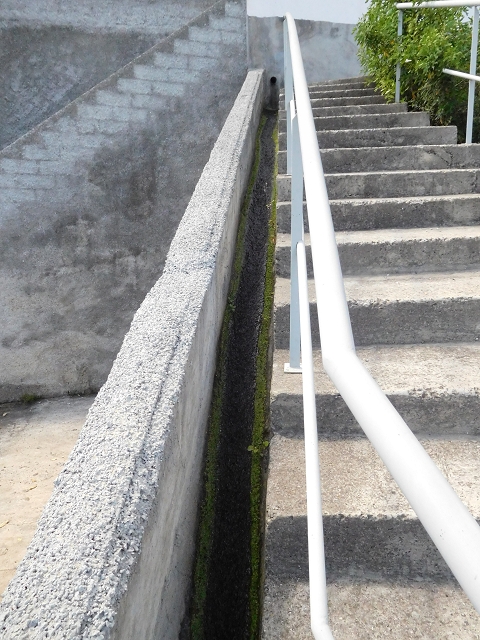 18 June 2016 Levada da Azenha — Along the western terminal branch, west, as far as the houses — photo 22