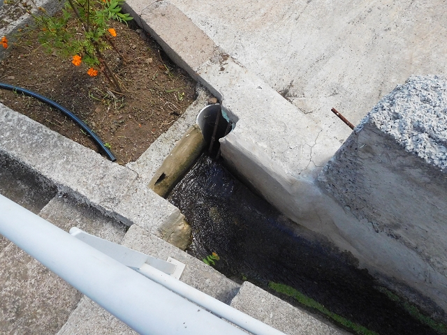 18 June 2016 Levada da Azenha — Along the western terminal branch, west, as far as the houses — photo 23