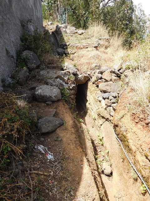 18 June 2016 Levada da Azenha — Exploring the eastern side of the western terminal branch — photo 2