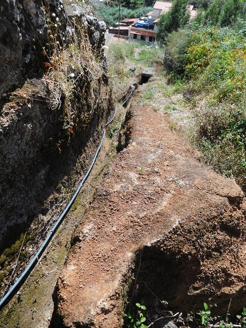 18 June 2016 Levada da Azenha — Exploring the eastern side of the western terminal branch — photo 4