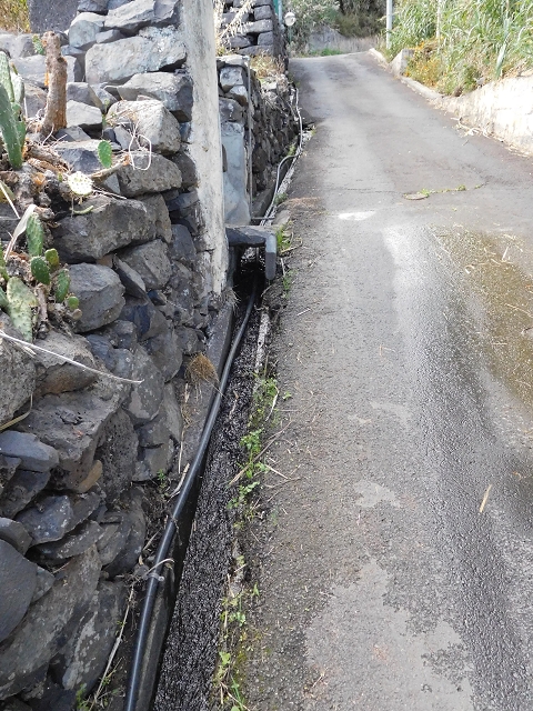 18 June 2016 Levada da Azenha — Exploring the eastern side of the western terminal branch — photo 6