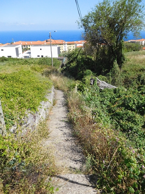 18 June 2016 Levada da Azenha — Crossing of the eastern terminal branch of the Levada do Pico do Arvoredo with the ER-204 — photo 5