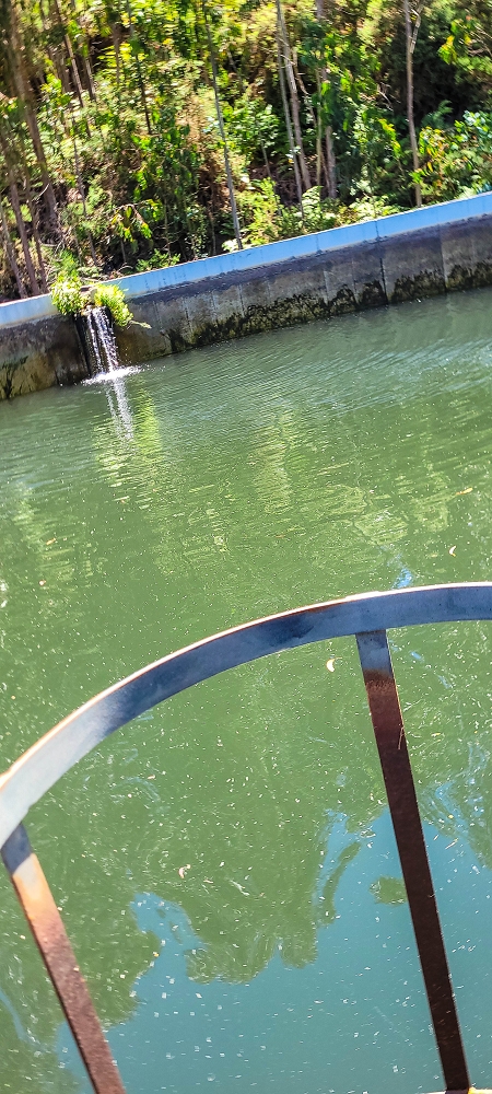18.06.2022 Bardo Velho — Abstieg von der Fonte do Bispo zum Wasserspeicher — Foto 11