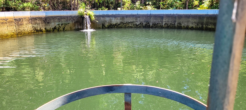 18.06.2022 Bardo Velho — Abstieg von der Fonte do Bispo zum Wasserspeicher — Foto 12