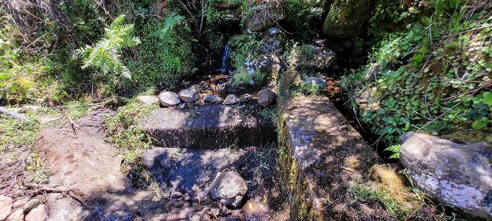 18.06.2022 Bardo Velho — Aufstieg auf der Levada dos Marinheiros bis zum Ribeirinho da Roseira — Foto 6