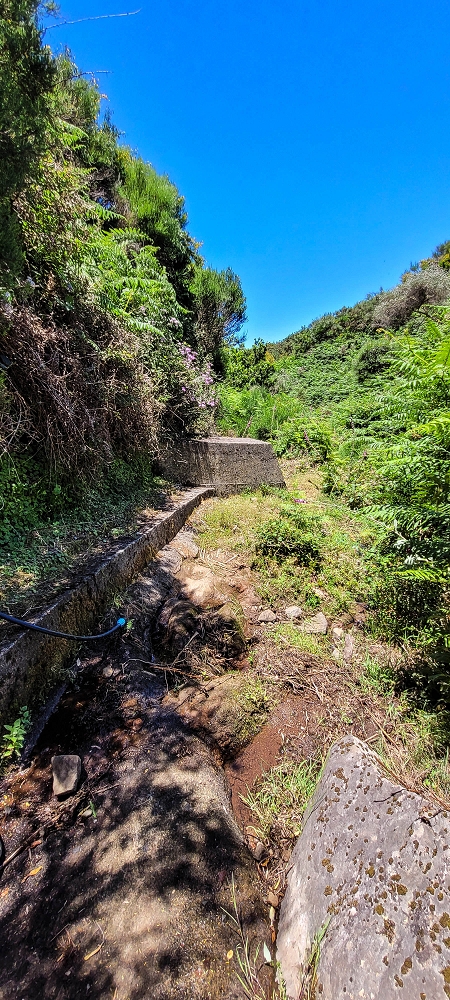 18.06.2022 Bardo Velho — Aufstieg auf der Levada dos Marinheiros bis zum Ribeirinho da Roseira — Foto 7
