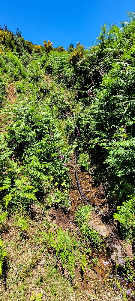 18.06.2022 Bardo Velho — Weiter zur Schotterpiste — Foto 1