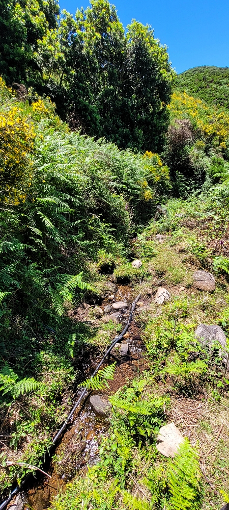 18.06.2022 Bardo Velho — Weiter zur Schotterpiste — Foto 2