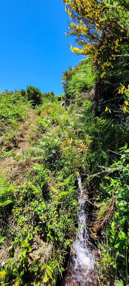 18.06.2022 Bardo Velho — Weiter zur Schotterpiste — Foto 3