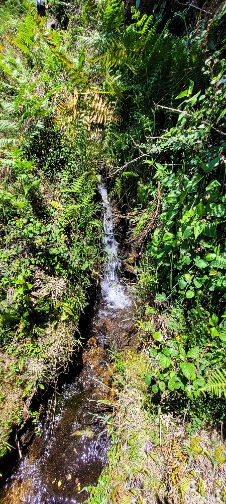 18.06.2022 Bardo Velho — Weiter zur Schotterpiste — Foto 4