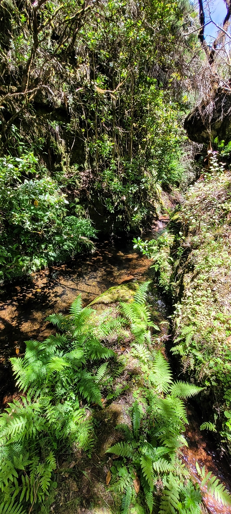 18.06.2022 Bardo Velho — Aufstieg zur Boca das Voltas — Foto 1