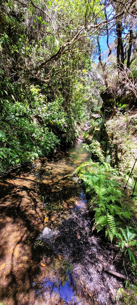 18.06.2022 Bardo Velho — Aufstieg zur Boca das Voltas — Foto 2