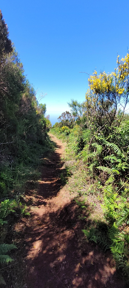 18.06.2022 Bardo Velho — Abstieg von der Fonte do Bispo zum Wasserspeicher — Foto 5