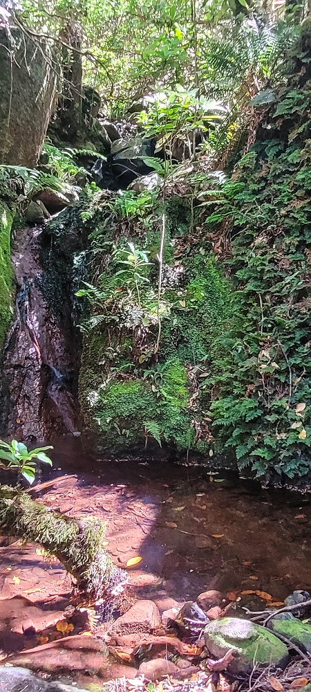 18.06.2022 Bardo Velho — Weiter zu Fonte do Bispo — Foto 3