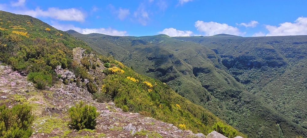 18.06.2024 Rocha Vermelha, eine meiner Lieblingslevadas — Auf dem PR 13 zurück zum Startpunkt — Foto 12