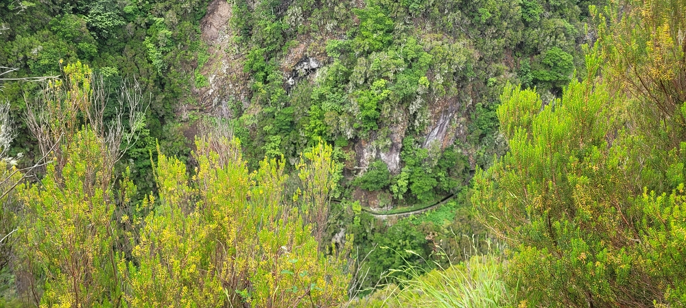 18.06.2024 Rocha Vermelha, eine meiner Lieblingslevadas — Abstieg zur Levada da Rocha Vermelha — Foto 2