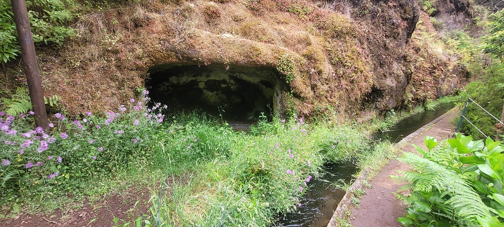 18.06.2024 Rocha Vermelha, eine meiner Lieblingslevadas — Abstieg zur Levada da Rocha Vermelha — Foto 3