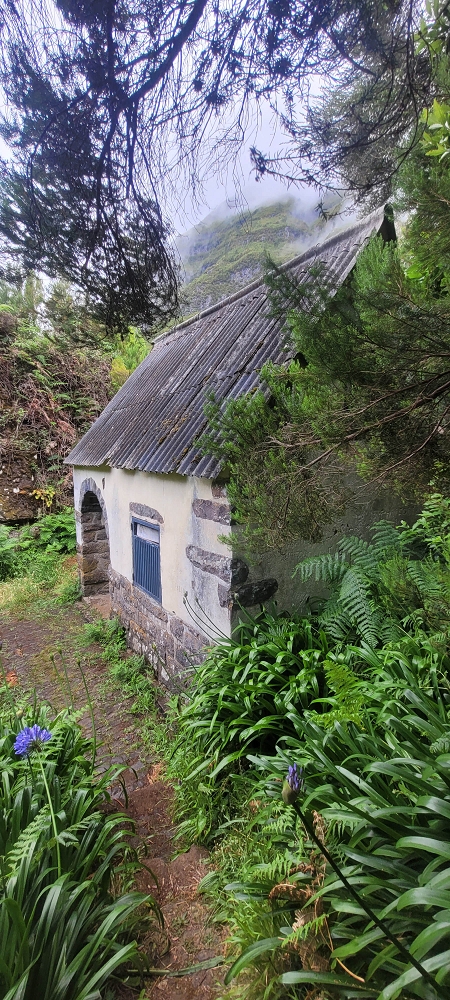 18.06.2024 Rocha Vermelha, eine meiner Lieblingslevadas — Abstieg zur Levada da Rocha Vermelha — Foto 5