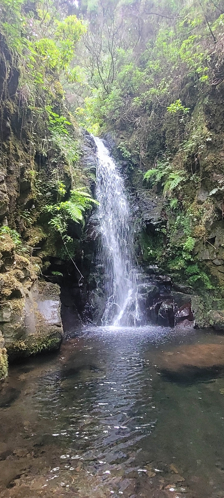 18.06.2024 Rocha Vermelha, eine meiner Lieblingslevadas — Ribeira dos Cedros und Seixaltunnel — Foto 2