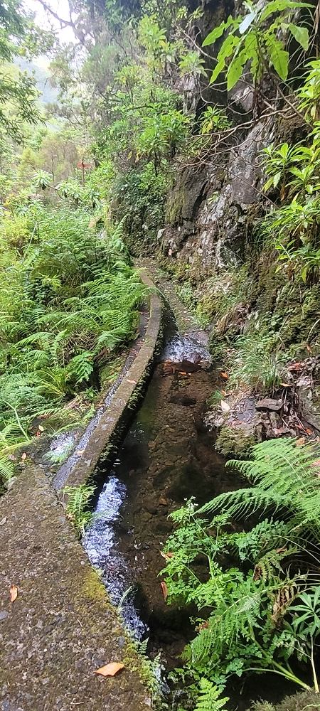 18.06.2024 Rocha Vermelha, eine meiner Lieblingslevadas — Ribeira dos Cedros und Seixaltunnel — Foto 3