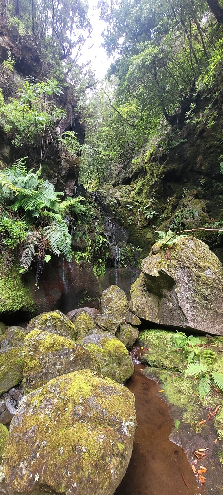 18.06.2024 Rocha Vermelha, eine meiner Lieblingslevadas — Ribeira dos Cedros und Seixaltunnel — Foto 4