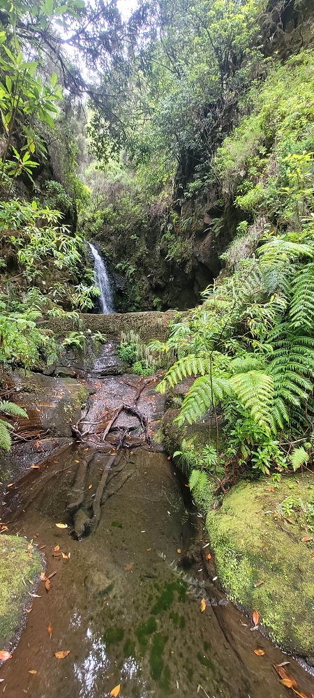 18.06.2024 Rocha Vermelha, eine meiner Lieblingslevadas — Ribeira dos Cedros und Seixaltunnel — Foto 5