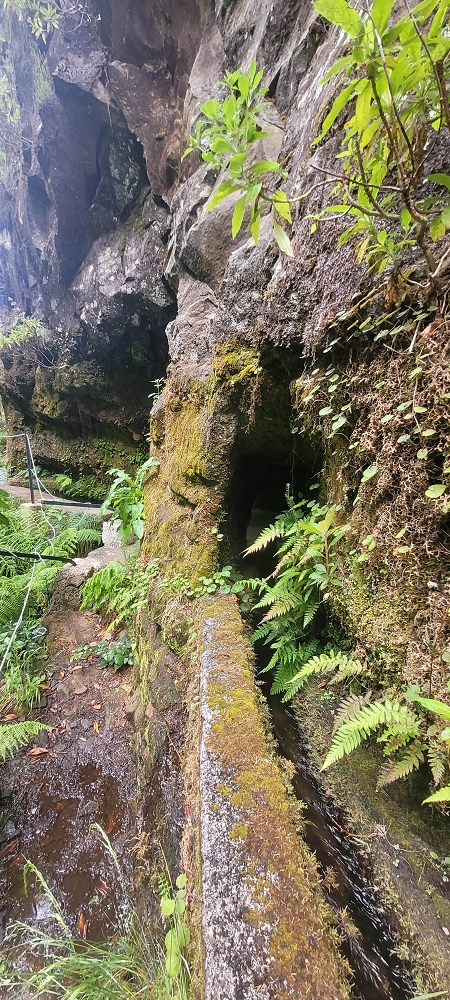 18.06.2024 Rocha Vermelha, eine meiner Lieblingslevadas — Ribeira dos Cedros und Seixaltunnel — Foto 6
