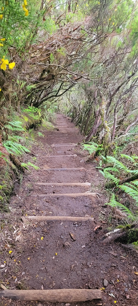 18.06.2024 Rocha Vermelha, eine meiner Lieblingslevadas — Über Palha Carga zur Ribeira dos Cedros — Foto 4