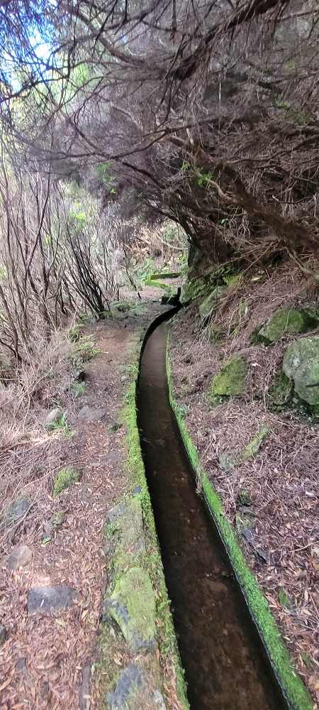 18.06.2024 Rocha Vermelha, eine meiner Lieblingslevadas — Weiter zu den seitlichen Wasserfällen — Foto 1