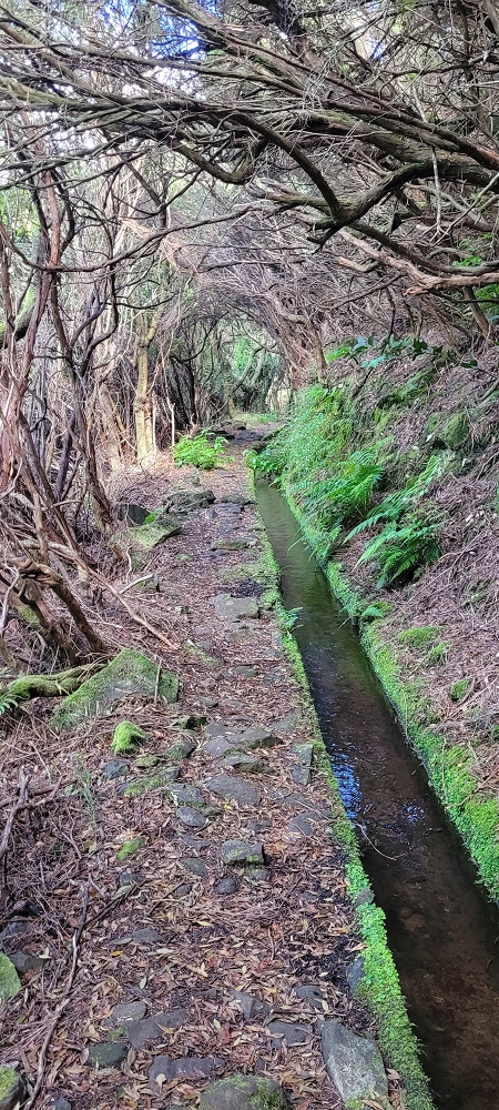18.06.2024 Rocha Vermelha, eine meiner Lieblingslevadas — Weiter zu den seitlichen Wasserfällen — Foto 2