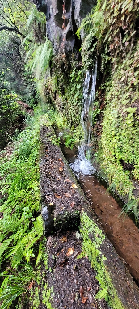 18.06.2024 Rocha Vermelha, eine meiner Lieblingslevadas — Weiter zu den seitlichen Wasserfällen — Foto 5